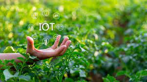 IOT (internet of things) ¿Un sueño imposible de alcanzar en el agro en Colombia?